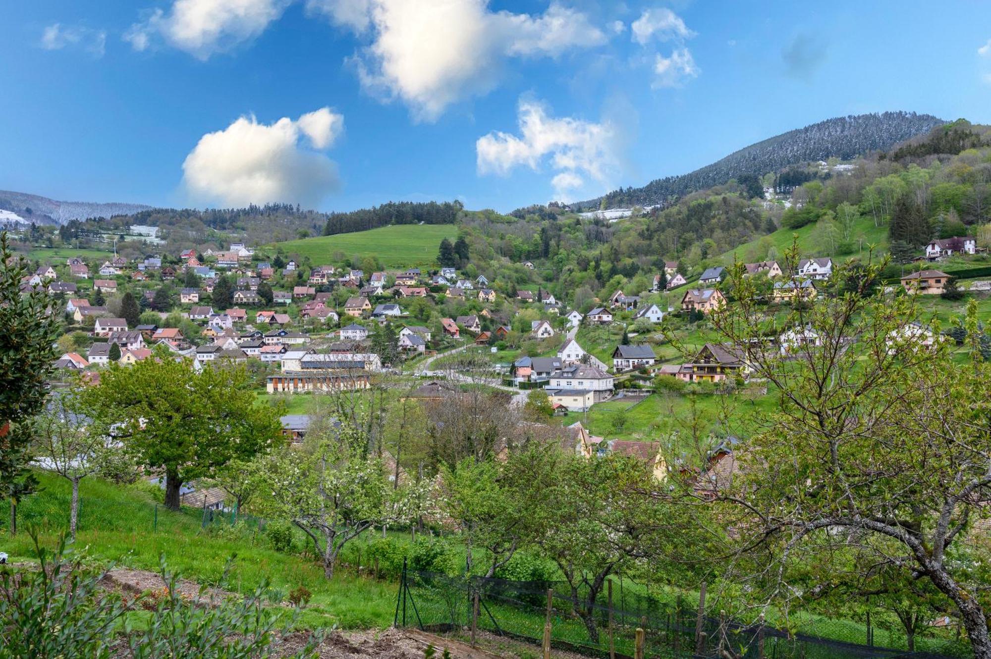 Gite En Montagne Vosges Alsaciennes Fréland Exteriör bild